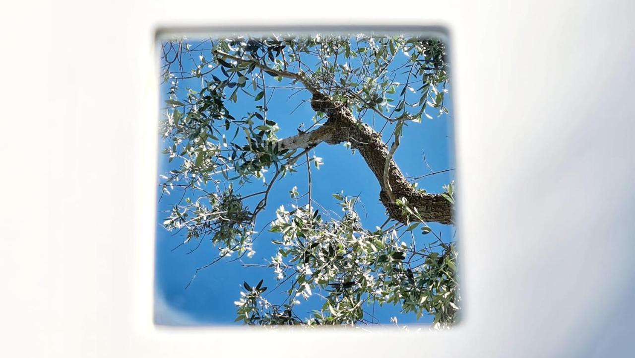 Pietrefitte Pension Ostuni Buitenkant foto